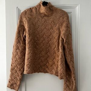Aritzia turtleneck wool sweater